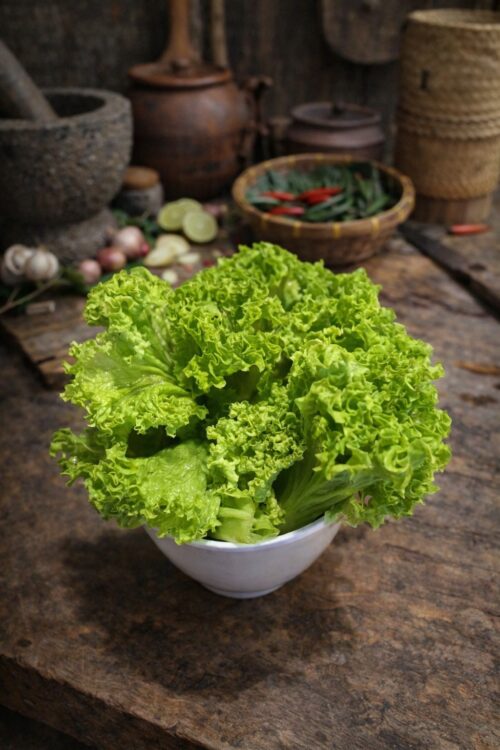 Chinese Lettuce