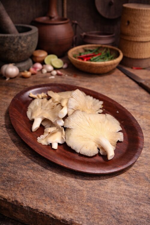 Oyster Mushroom
